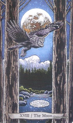 Animal Totem Tarot